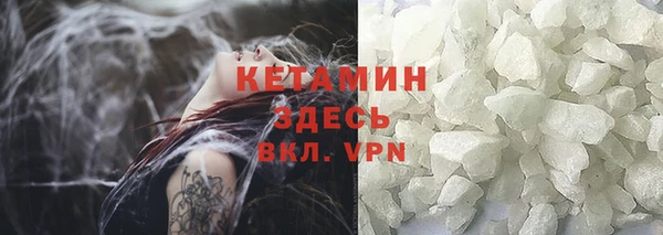 прущие грибы Дмитриев