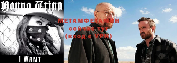 прущие грибы Дмитриев
