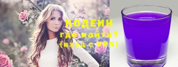 прущие грибы Дмитриев