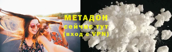 прущие грибы Дмитриев