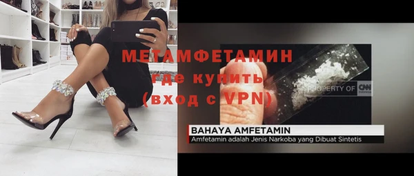 прущие грибы Дмитриев