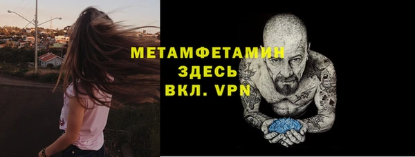 прущие грибы Дмитриев