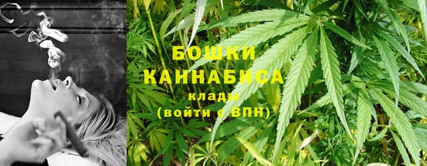 прущие грибы Дмитриев