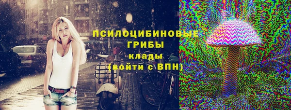 прущие грибы Дмитриев