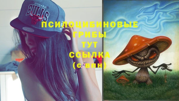 а пвп мука Дмитровск