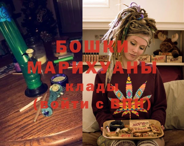 прущие грибы Дмитриев