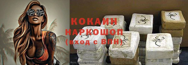 прущие грибы Дмитриев