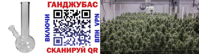 Канабис Amnesia  Купить закладки  Горно-Алтайск 
